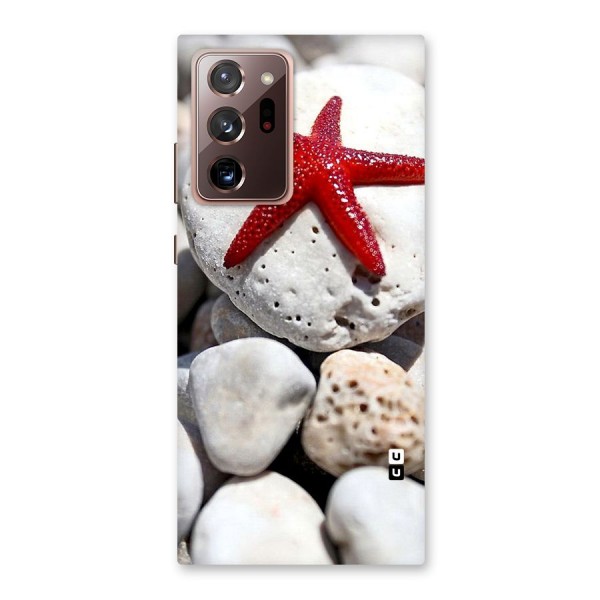 Red Star Fish Back Case for Galaxy Note 20 Ultra