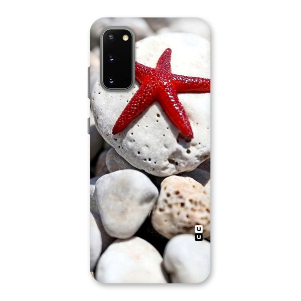 Red Star Fish Back Case for Galaxy S20