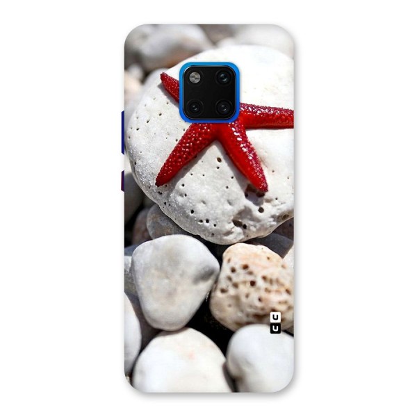 Red Star Fish Back Case for Huawei Mate 20 Pro