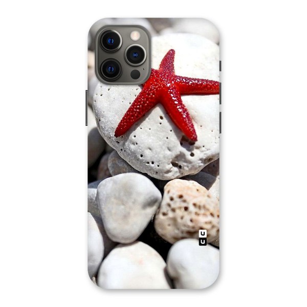 Red Star Fish Back Case for iPhone 12 Pro Max