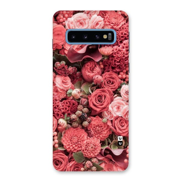 Shades Of Peach Back Case for Galaxy S10