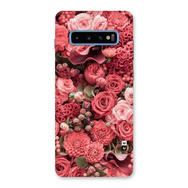 Shades Of Peach Back Case for Galaxy S10 Plus