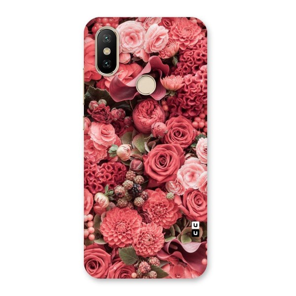 Shades Of Peach Back Case for Mi A2