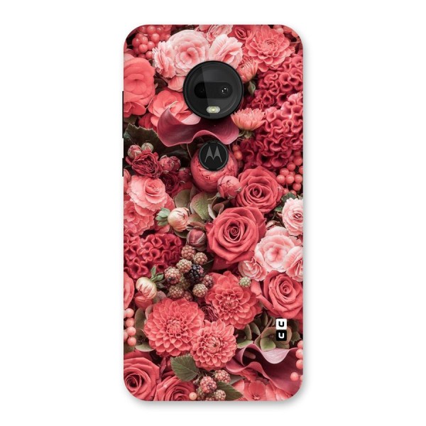 Shades Of Peach Back Case for Moto G7
