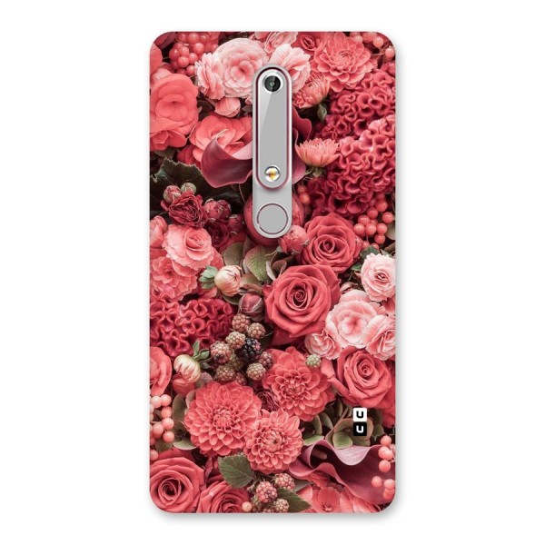 Shades Of Peach Back Case for Nokia 6.1