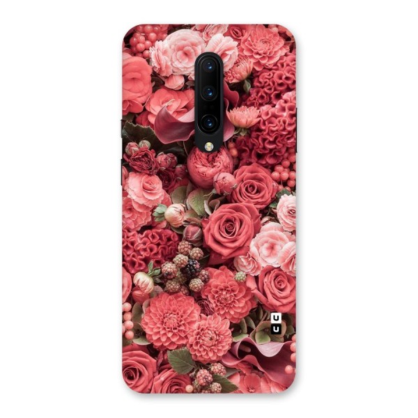 Shades Of Peach Back Case for OnePlus 7 Pro