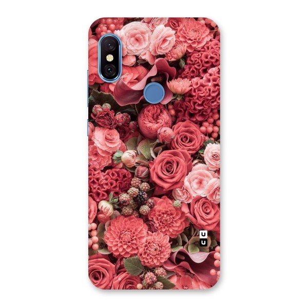 Shades Of Peach Back Case for Redmi Note 6 Pro