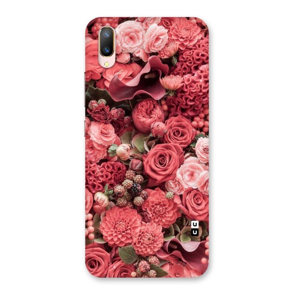 Shades Of Peach Back Case for Vivo V11 Pro