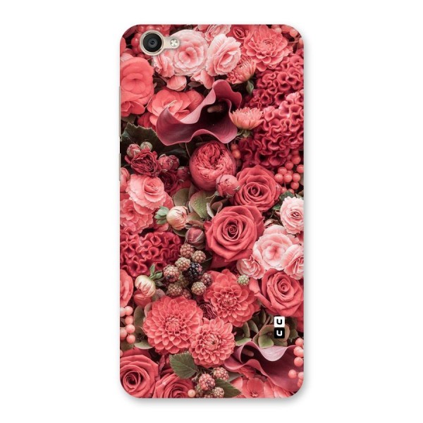 Shades Of Peach Back Case for Vivo Y55