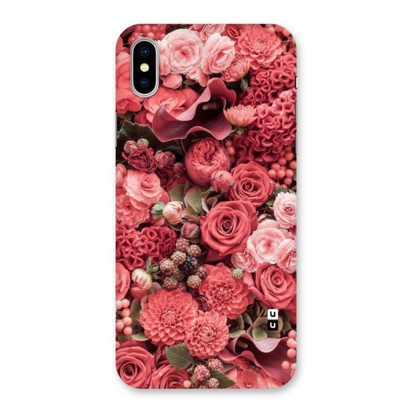 Shades Of Peach Back Case for iPhone XS