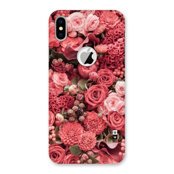 Shades Of Peach Back Case for iPhone XS Logo Cut