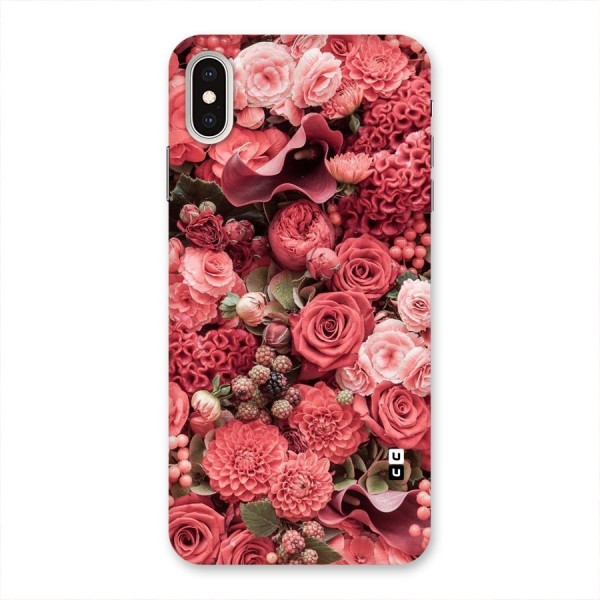 Shades Of Peach Back Case for iPhone XS Max