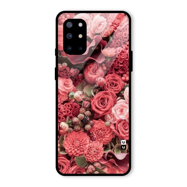Shades Of Peach Glass Back Case for OnePlus 8T