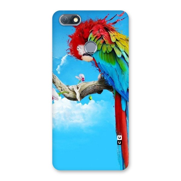 Sky Parrot Back Case for Infinix Note 5