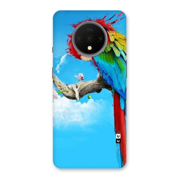Sky Parrot Back Case for OnePlus 7T