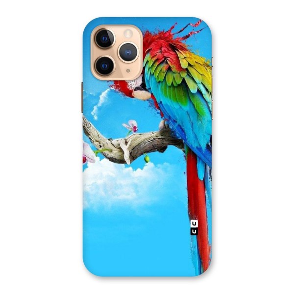 Sky Parrot Back Case for iPhone 11 Pro