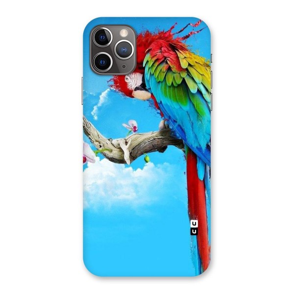 Sky Parrot Back Case for iPhone 11 Pro Max