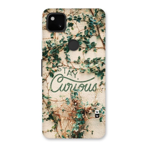 Stay Curious Back Case for Google Pixel 4a