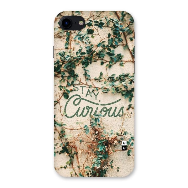 Stay Curious Back Case for iPhone SE 2020