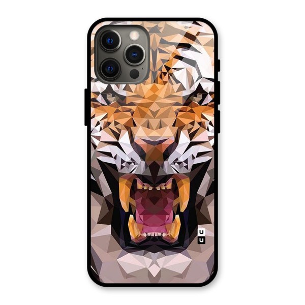 Tiger Abstract Art Glass Back Case for iPhone 12 Pro Max