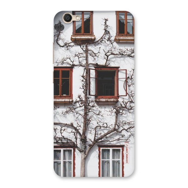 Tree House Back Case for Vivo Y67