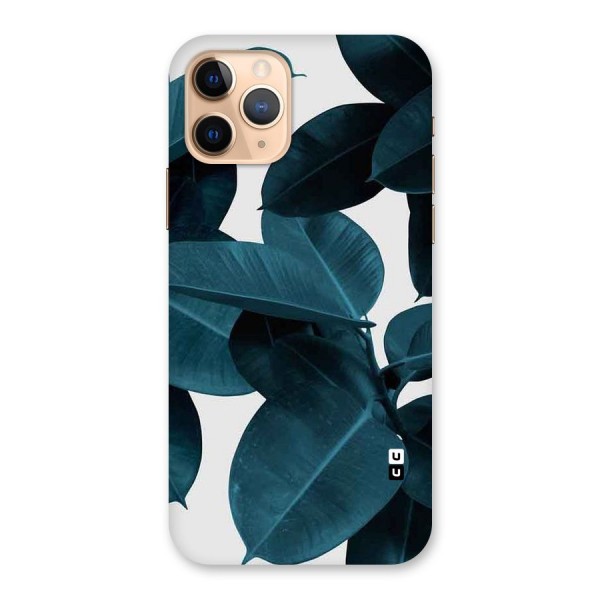 Very Aesthetic Leafs Back Case for iPhone 11 Pro