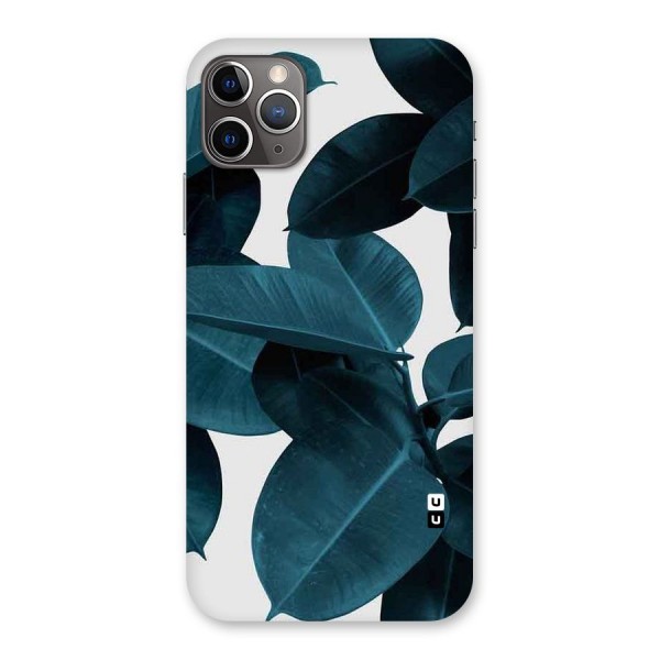 Very Aesthetic Leafs Back Case for iPhone 11 Pro Max