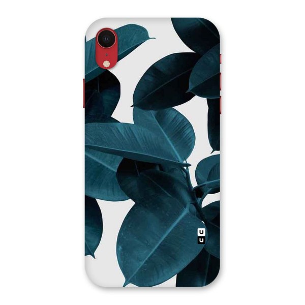 Very Aesthetic Leafs Back Case for iPhone XR