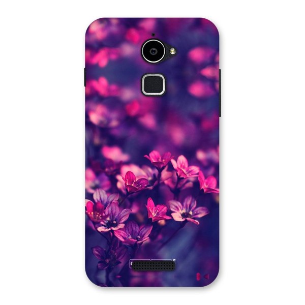 Violet Floral Back Case for Coolpad Note 3 Lite