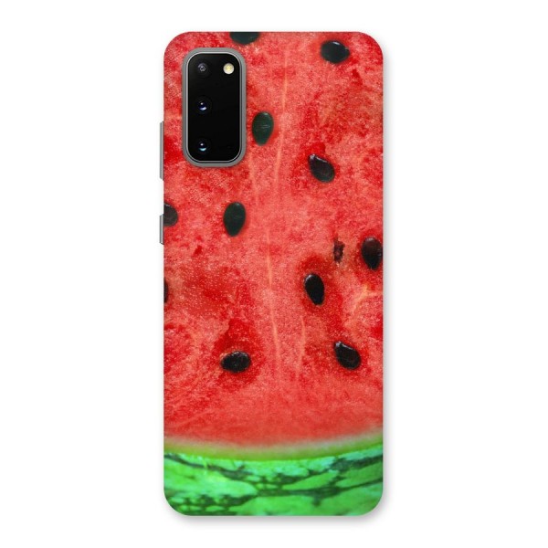 Watermelon Design Back Case for Galaxy S20