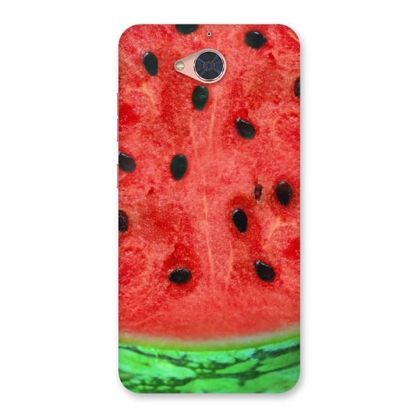 Watermelon Design Back Case for Gionee S6 Pro