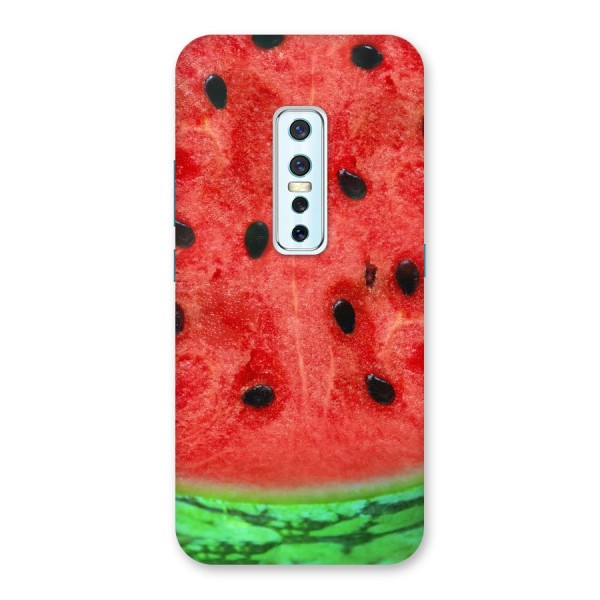 Watermelon Design Back Case for Vivo V17 Pro