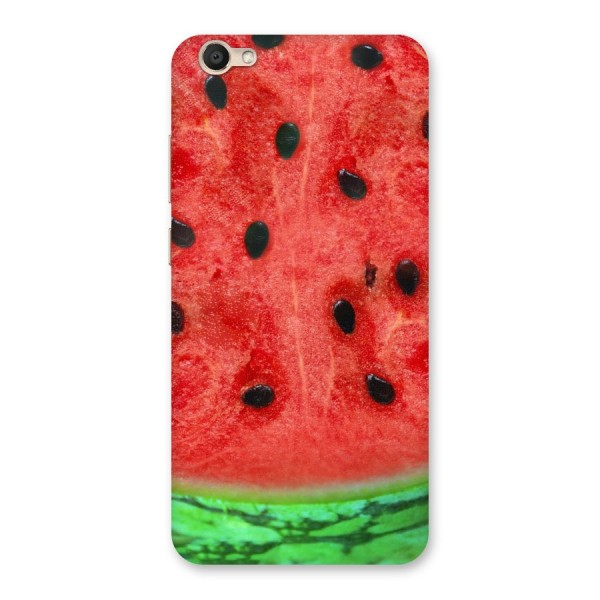 Watermelon Design Back Case for Vivo Y67