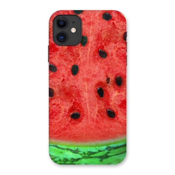 Watermelon Design Back Case for iPhone 11