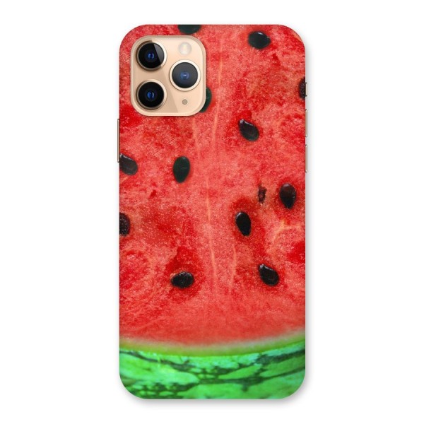 Watermelon Design Back Case for iPhone 11 Pro
