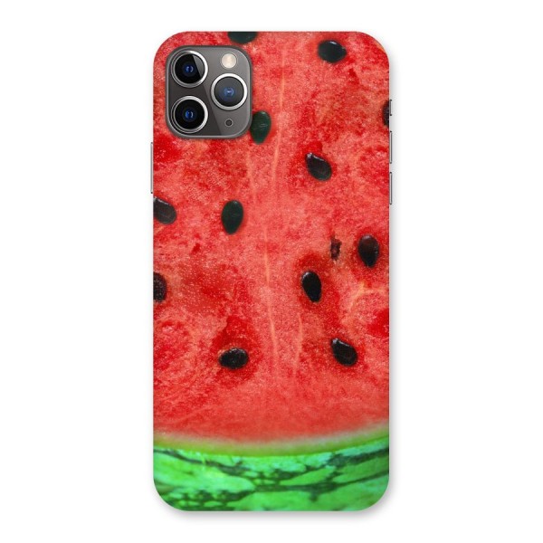 Watermelon Design Back Case for iPhone 11 Pro Max