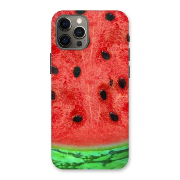 Watermelon Design Back Case for iPhone 12 Pro Max