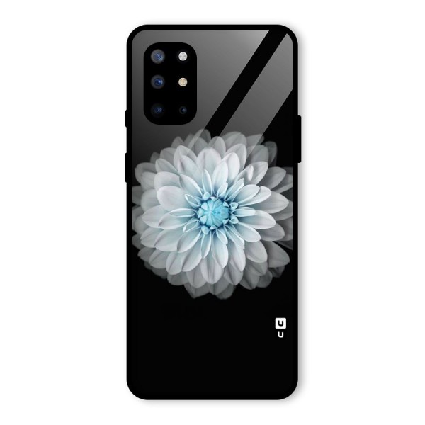 White Bloom Glass Back Case for OnePlus 8T
