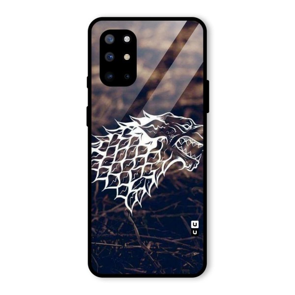 Wolf In White Glass Back Case for OnePlus 8T