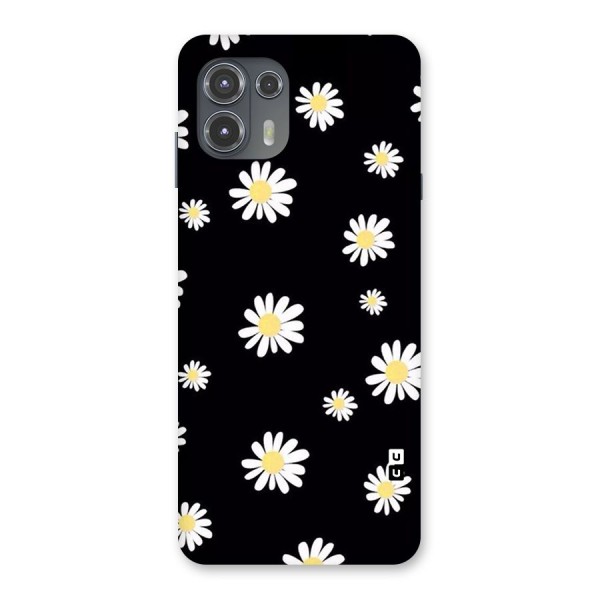 Simple Sunflowers Pattern Back Case for Motorola Edge 20 Fusion