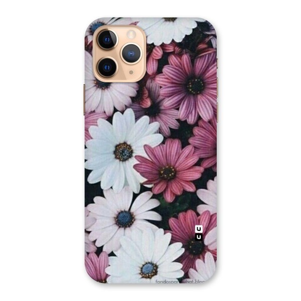 Floral Shades Pink Back Case for iPhone 11 Pro