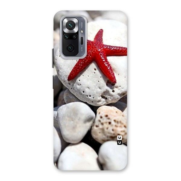 Red Star Fish Back Case for Redmi Note 10 Pro Max