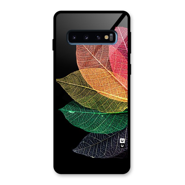 Net Leaf Color Design Glass Back Case for Galaxy S10