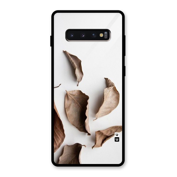 Brown Dusty Leaves Glass Back Case for Galaxy S10 Plus