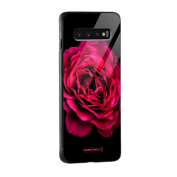 Magical Rose Glass Back Case for Galaxy S10 Plus