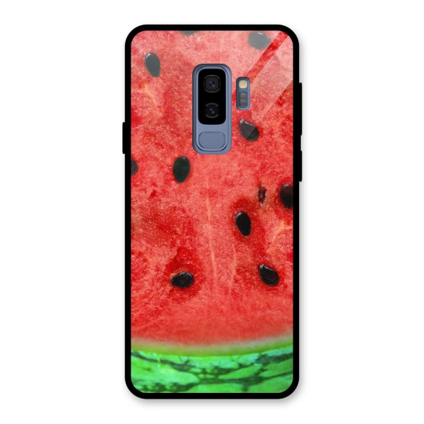 Watermelon Design Glass Back Case for Galaxy S9 Plus