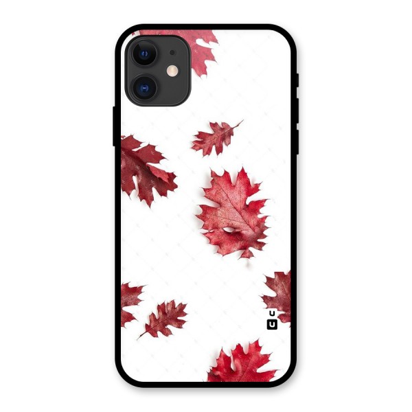 Red Appealing Autumn Leaves Glass Back Case for iPhone 11