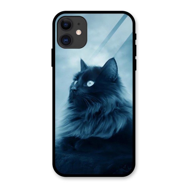 Wild Forest Cat Glass Back Case for iPhone 11