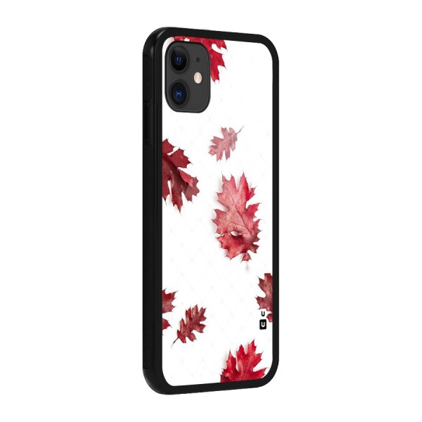 Red Appealing Autumn Leaves Glass Back Case for iPhone 11