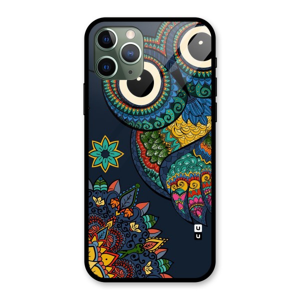 Owl Eyes Glass Back Case for iPhone 11 Pro